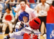 开云官方app入口-关于跆拳道比赛精彩纷呈：柔中带刚收掌握胜算的信息