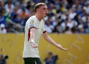 开云体育在线-匈牙利主场逼平威尔士，可惜未能获胜的简单介绍