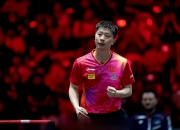 开云下载-德国队横扫中国队，马龙惊艳四座的简单介绍