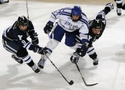 开云体育在线-霍勒迪彻底打爆防线！凯尔特人防守铁闸如何让黄蜂进攻陷入瘫痪？