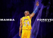 开云体育中国官网-横扫灰熊！高诗岩高光表现助天津队创造历史