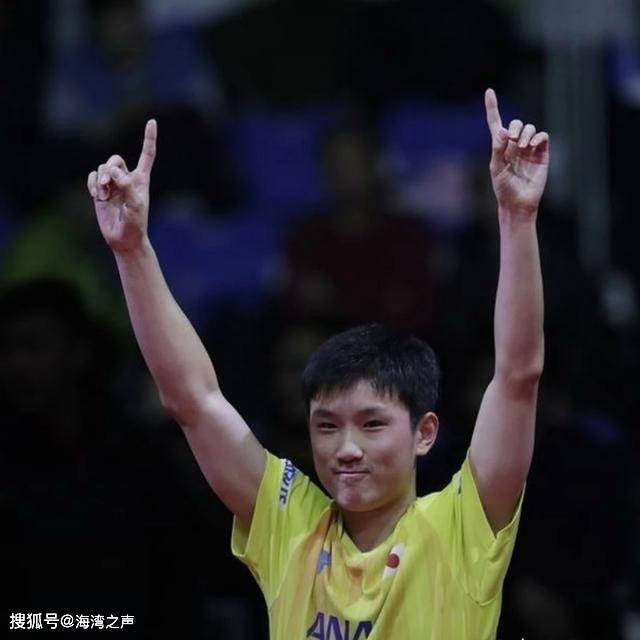 关于波兰队险胜日本队，张本智和点燃赛场的信息