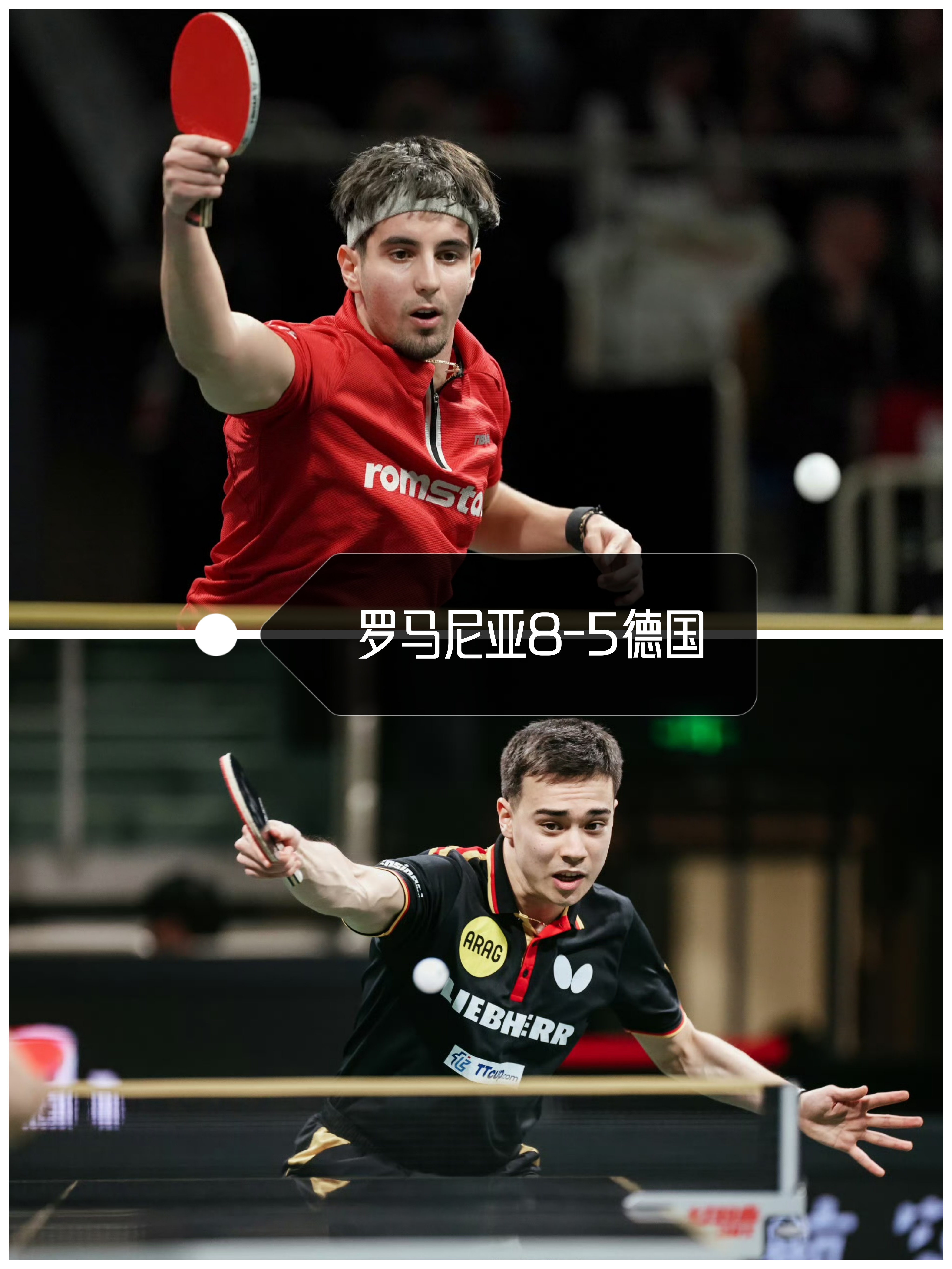 西班牙网球队轻取日本网球队,瓦林卡打破历史纪录的简单介绍 西班牙网球队轻取日本网球队,瓦林卡打破历史纪录的简单介绍