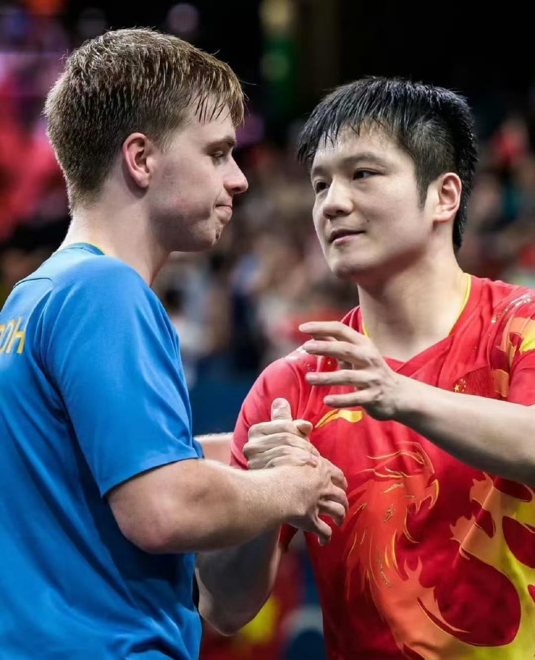 关于法国队碾压韩国队,樊振东关键制胜的信息 关于法国队碾压韩国队,樊振东关键制胜的信息