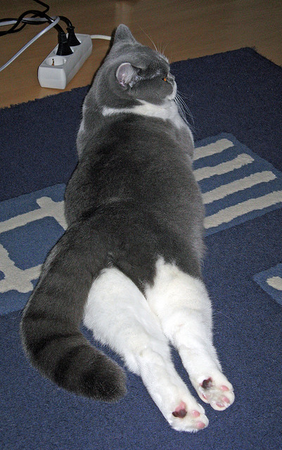 黄喜灿一击制胜，比利亚雷亚尔客场斩落土耳其劲旅