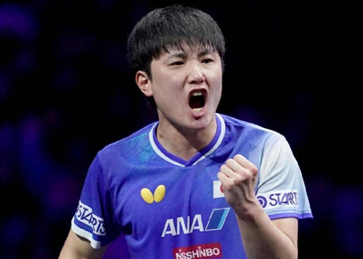 法国队横扫韩国队，张本智和高光表现