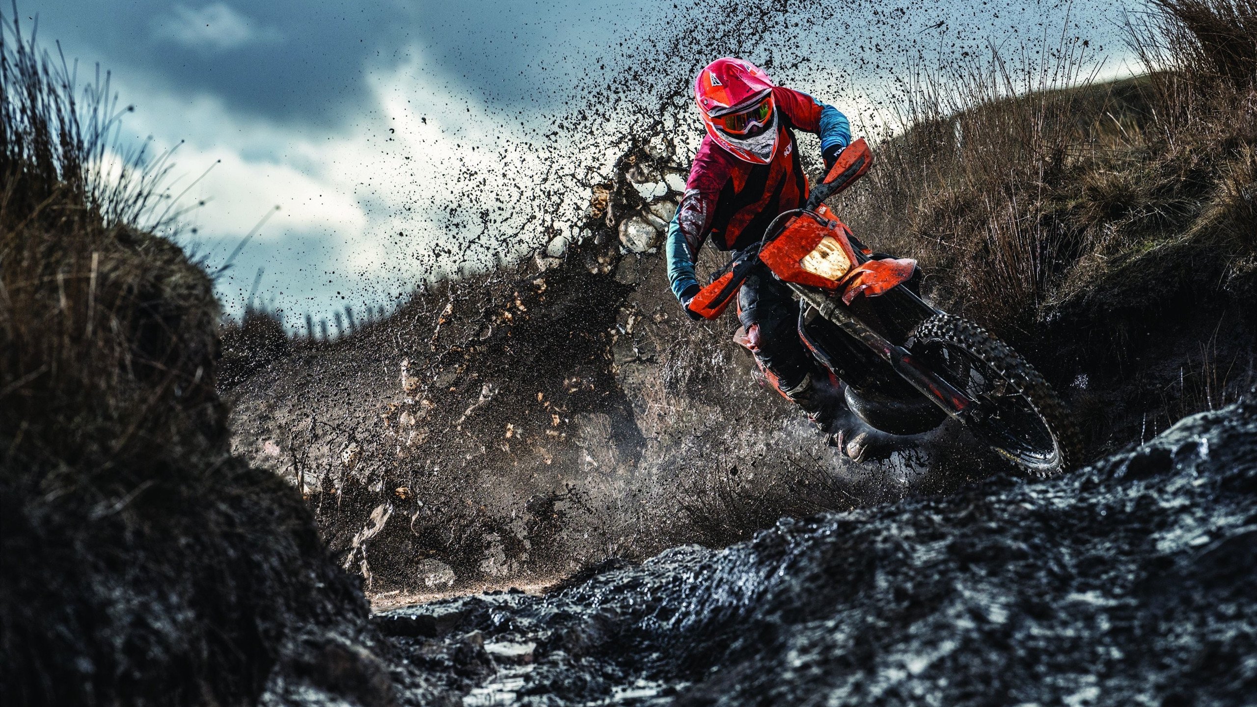 武切维奇爆发定乾坤，广东队巅峰对决力克雄鹿，诠释篮球唯一性